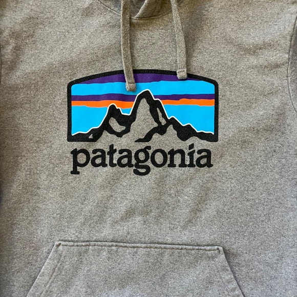 Classic Patagonia Hoodie – Grey with Front Logo, Size Small - Picture 2 of 7